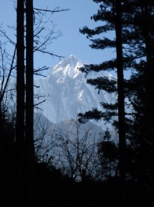 Even in the dark forest, the scenery was still spectacular...