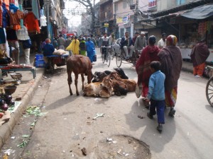 The locals near Chandni Chowk