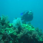 cimg2835 We are huge fans of flat bottom diving now