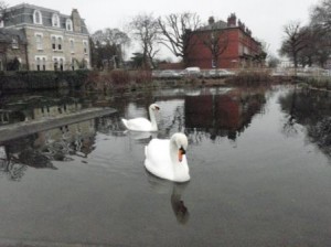 It is a nice walk everywhere we go near us.