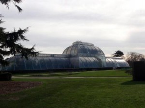 Huge conversatories are packed full of tropical plants