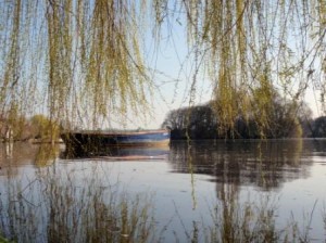 On the Thames Path.