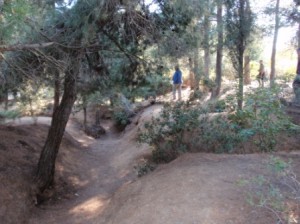 The trenches at Gallipoli