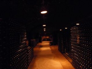 If only it was our cellar