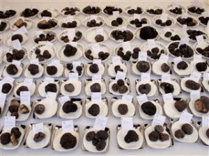 Truffles galore