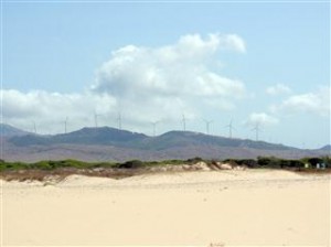 Wind turbines everywhere - fantastic